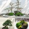 Fake Green Moss for Potted Plants, 5.3OZ Moss Decor Artificial Faux Moss for Crafts Preserved Moss for DIY Decorative Moss Table Centerpieces Decor Fairy Garden Floral Wedding
